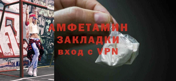 прущие грибы Беломорск