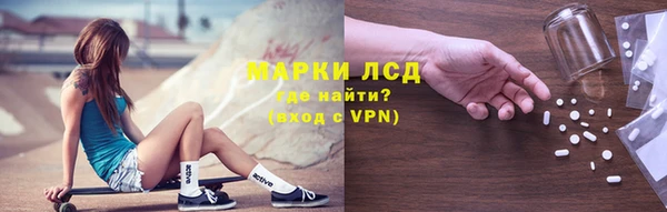прущие грибы Беломорск