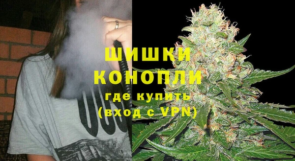 прущие грибы Беломорск